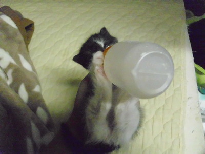 かわいかったなあｗ