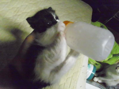 かわいかったなあｗ