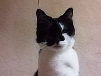 かわいかったなあｗ