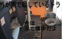 2025年05月09日