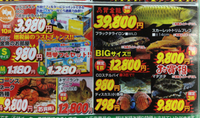 明日まで…＼(^o^)／