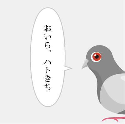 ハトきち物語第二話 ハトきち カワウソの名前を知るの巻 イラスト わくわく ｄ ブロ 沖縄から台風情報 お店情報 出来事 写真をおおくりします