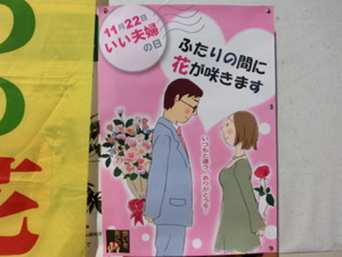 11 22 プレゼントにお花はいかが いい夫婦の日 プレゼントキャンペーン てぃーだニュース