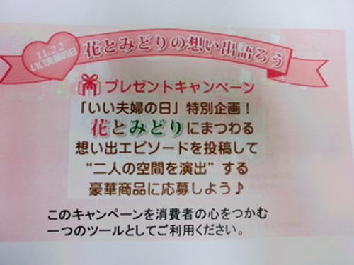 11 22 プレゼントにお花はいかが いい夫婦の日 プレゼントキャンペーン てぃーだニュース