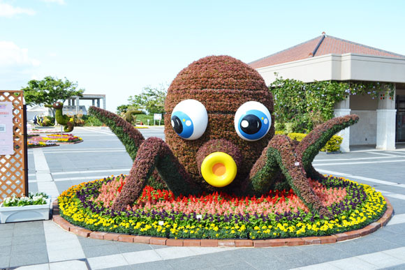 海洋博公園】第9回美ら海花まつりは、2月23日（日）まで開催中