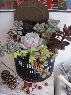 寄せ植えいろいろ 寄せ植えいろいろ