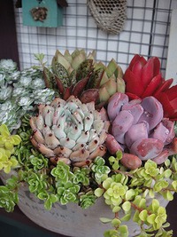 オーダーありがとうございました 2019/03/26 21:52:03