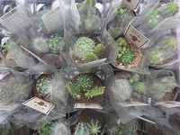 入荷情報 2019/05/22 22:13:23