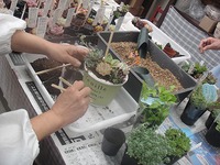 月一教室 2019/05/31 21:32:39
