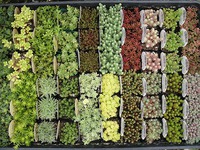 入荷しました！ 2019/06/02 15:49:51