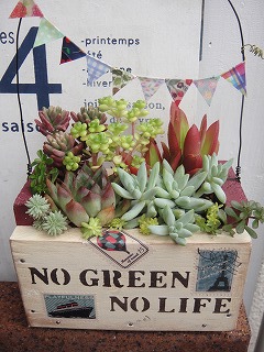 ＢＯＸに寄せ植え