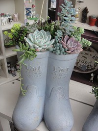 オーダーと入荷情報 2020/03/08 20:36:19