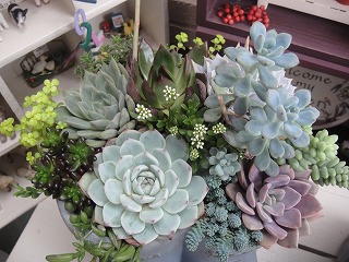 オーダーと入荷情報