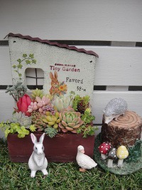 寄せ植えと入荷情報 2020/03/29 21:36:50