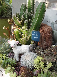 オーダーの寄せ植え