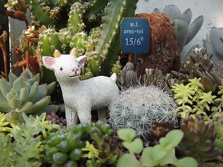 オーダーの寄せ植え