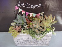 オーダーの寄せ植え 2020/10/01 21:35:55