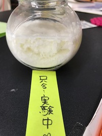 牛乳に素粒水を入れて実験したら・・ヨーグルトになった☆ 2018/07/27 17:33:38