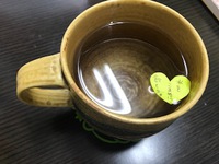 新習慣で風邪予防がとってもカンタンだった！ 2019/09/28 18:11:36