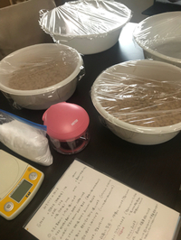 持ち帰り！味噌作りを行いました(^^) 2020/06/30 17:24:07
