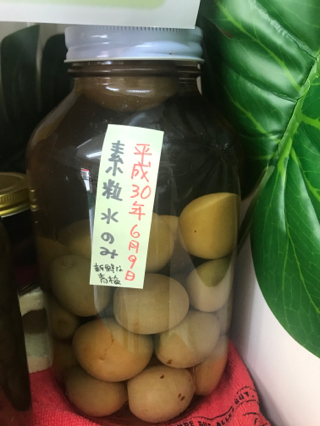 素粒水で作る！梅酵素エキスの作り方です☆