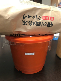自粛が解除したら、新しい企画をやりたいと思います。 2020/05/06 14:24:01