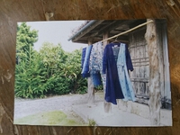 花藍舎さんの展示会のお知らせです。
