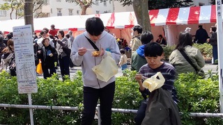常盤平さくらまつり２日目、晴天！（１）