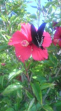 お申込みありがとうございます☆ 2010/05/05 10:10:00