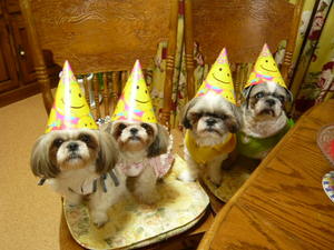 ★☆父犬レオのBIRTHDAY PARTY☆★PART １