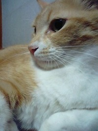 人間椅子 007のテーマ 2011/08/11 22:14:21