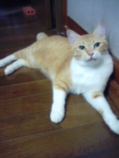 非日常から日常へ