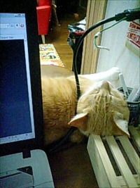 N.E.R.D. She Wants To Move 2011/08/22 21:56:29