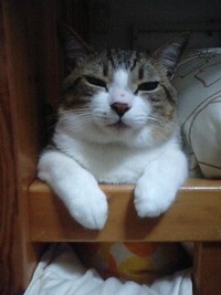 ＤＴＭ 2011/11/01 22:37:20