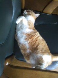 しまらん話 2011/11/18 20:54:02