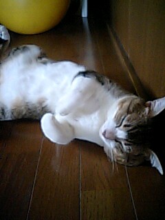 ２０歳の思い出は「♪ヒーラー、ヒーラーになる時」
