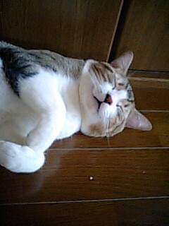 昨日に引き続きギターにまつわる思い出話