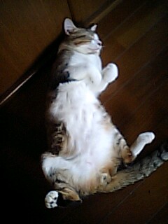 無理矢理の笑顔は死人のようだ　サウンドガーデン