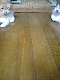 グッ、ジョブ！