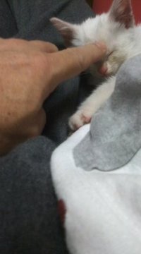 また一匹増えた！ 2011/11/20 23:04:47