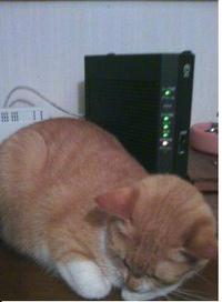 Sixpence None The Richer Kiss Me 2012/01/10 23:00:39
