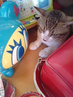 そろそろ旧盆だね～！