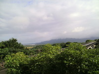 ぬちぐすい 2012/06/14 23:01:10