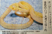 明けましておめでとうございます