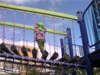 朝から感動の涙、、、 2009/04/15 16:30:03