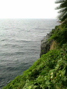 北風ぴーちゃい。。。 2009/12/01 18:21:54