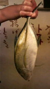 撃沈｡｡｡ 2010/03/05 20:16:44