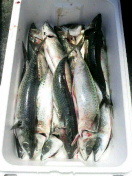 遠征…⑦ 2010/05/12 15:43:16