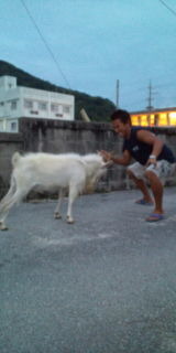 意外に・・・ 2010/06/03 16:22:55
