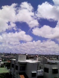 いい天気です 2008/06/18 13:27:30